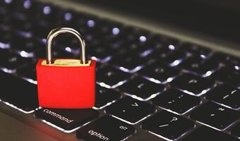 Wysokie pensje, praca hybrydowa - cybersecurity w 2023 roku