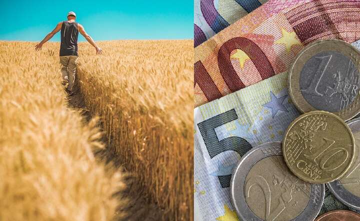 Komisja Europejska testuje możliwość utworzenia rynku kredytów przyrodniczych / autor: Pixabay x 2