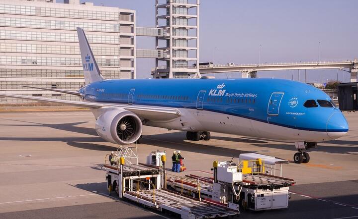 KLM z rządową pomocą publiczną  / autor: Pixabay
