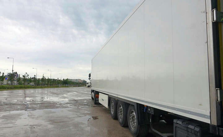 Tir / autor: Fratria