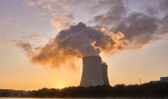 Westinghouse szacuje polski wkład do bloku z reaktorem