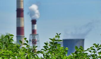 Polska sprzedała uprawnienia do emisji CO2 po 79,85 euro