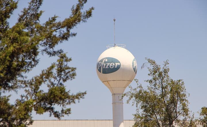 Pfizer / autor: pixabay