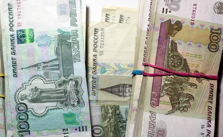 Ruble / autor: fot. Pixabay