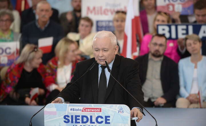 Prezes PiS Jarosław Kaczyński / autor: PAP