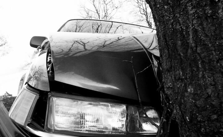 fot. www.freeimages.com