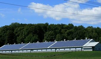 Columbus Energy - polska fotowoltaika na czeskim rynku
