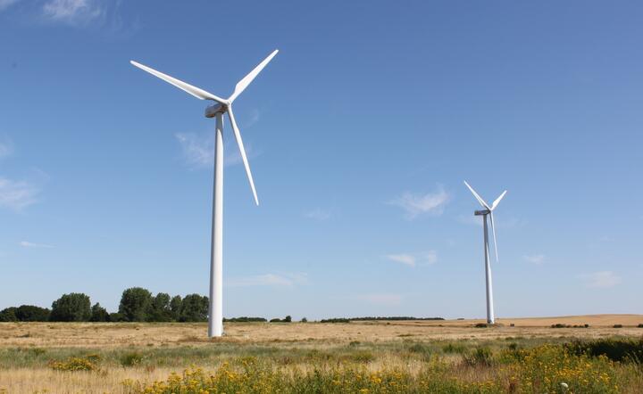 elektrownia wiatrowa / autor: pixabay