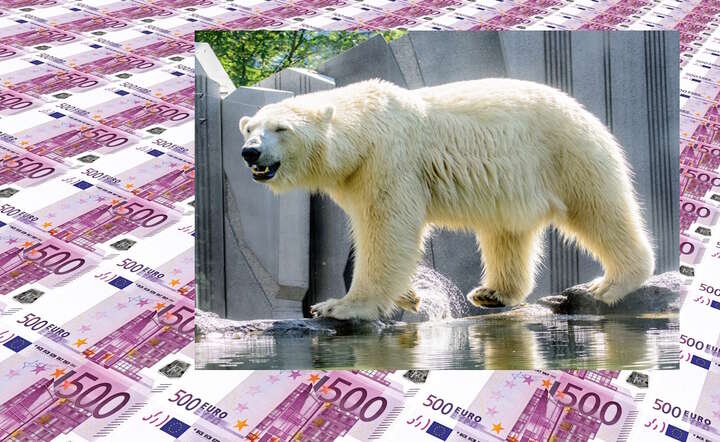 Niewygodna prawda. 16 bln dol. musiało trafić do czyichś kieszeni