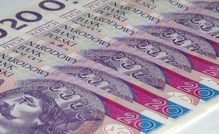 Hamulcem aprecjacji PLN (obok możliwych kolejnych interwencji NBP) będzie też obawa o stan epidemiczny na świecie / autor: Pixabay