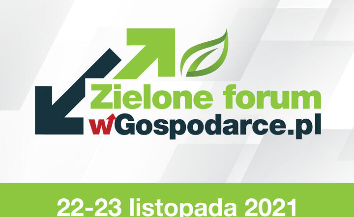 Zielone forum wGospodarce.pl / autor: Fratria