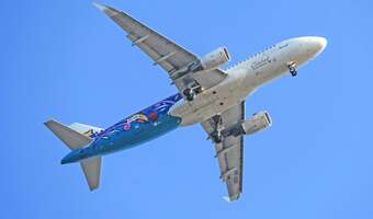 Polska dołączy do udziałowców Airbusa?