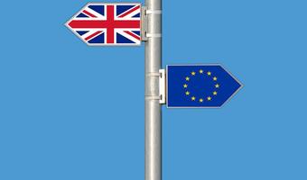 Rząd Wielkiej Brytanii szykuje się na twardy Brexit
