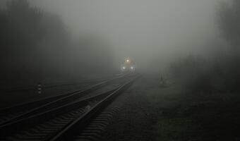 Rabiej chce pokonać smog