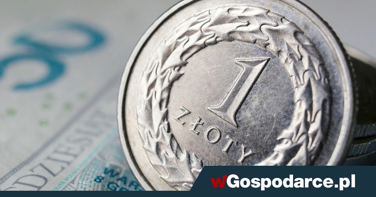 Czy ktoś przejął się Moody’s? Na pewno nie złoty!