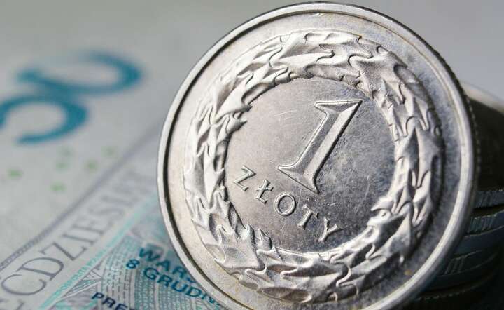 Apetyt na polskie aktywa nie kończy się na walucie. Widać go również na warszawskim parkiecie / autor: Pixabay