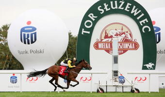 ZAMIAST SŁÓW 106. edycja Wielkiej Warszawskiej