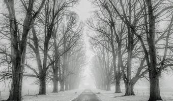 Pogoda wciąż surowa - kierowcy, uważajcie na drogach!