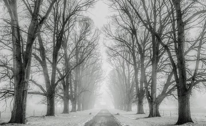 fot. Pixabay / autor: fot. Pixabay