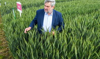 Ardanowski: Odzyskać rynek wewnętrzny