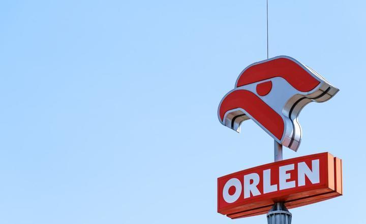 Orlen / autor: Fratria