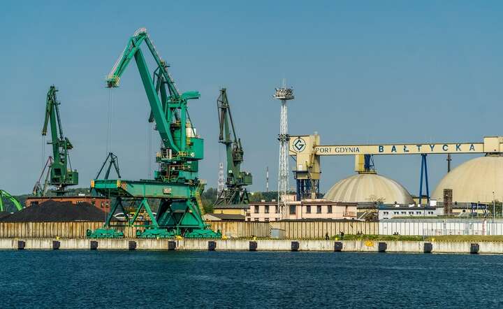 Port w Gdyni zwiększył zyski o 32 proc. w skali roku / autor: Fratria / AS