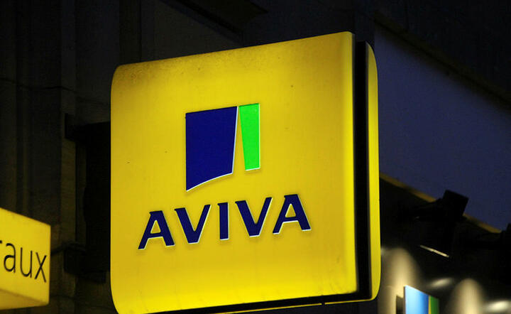 Aviva / autor: Fratria