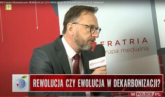 R.Kwiecień, BGK: polska strategia wodorowa za mało ambitna