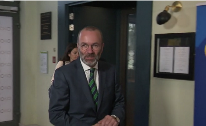 Manfred Weber / autor: Materiały prasowe