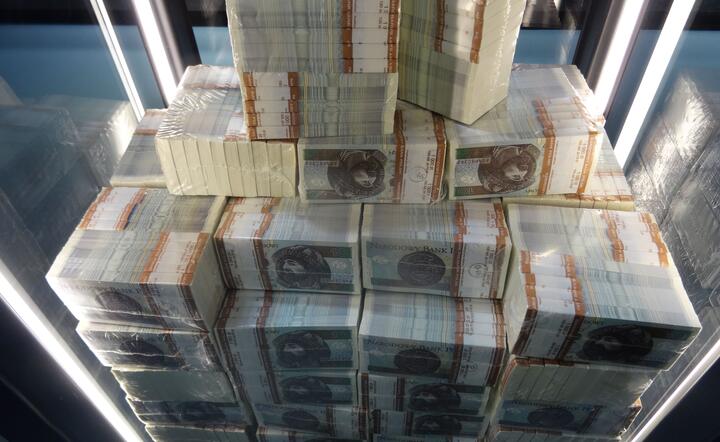 MRiPS: Dodatkowe 100 mln zł dla bezrobotnych. Po co?