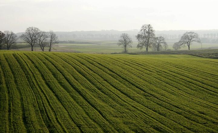 Zgodnie z naszymi zobowiązaniami, Polska osiągnie neutralność klimatyczną w drugiej połowie obecnego wieku / autor: Pixabay