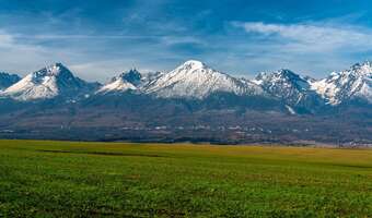 Miś nie zaszkodził? Tatry rekordowo popularne