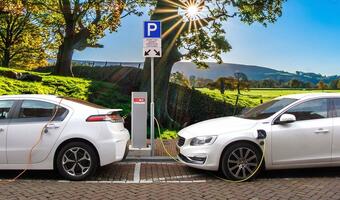 Po polskich drogach jeździ  5,9 tys. elektryków