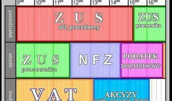 Wszystko dla ZUS - od którego dnia tygodnia pracujemy na siebie? GRAFIKA