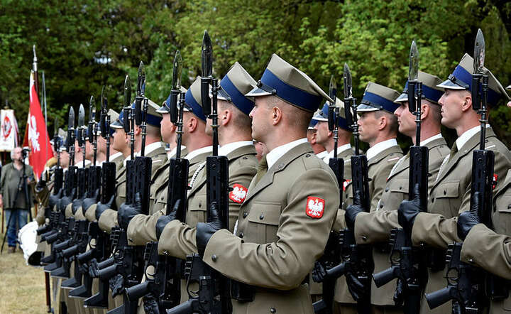 Wojsko Polskie / autor: Fratria