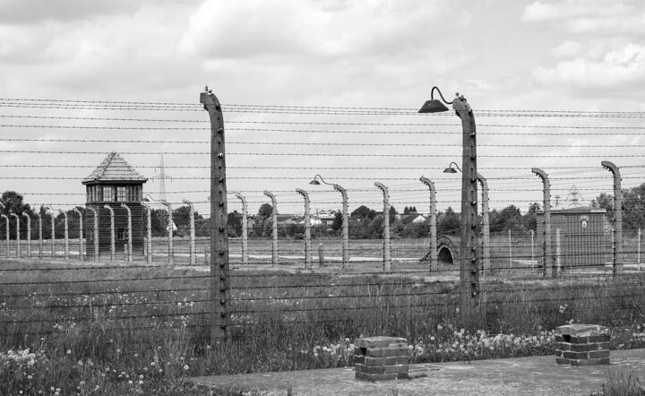 Odnaleziono szczątki kolejnych ofiar niemieckich zbrodni!