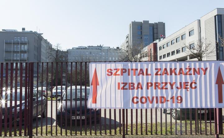 Zdjęcie ilustracyjne / autor: Fratria