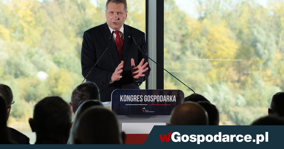 Mają plan na naprawę gospodarki