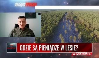 VIDEO Czy można iść na spacer do lasu i skąd te wycinki?