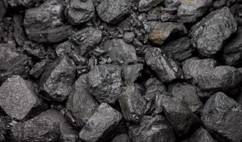 Do 30 kwietnia chce resort klimatu zawiesić normy na węgiel