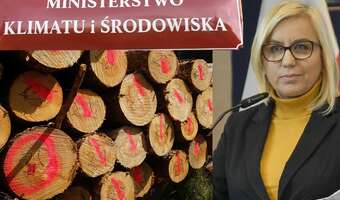 Sektor drzewny traci cierpliwość. Skarga na Hennig-Kloskę
