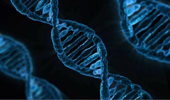 Chiny: Trzy lata więzienia za majstrowanie przy DNA