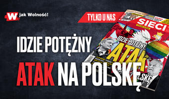 Jak PO przegrała walkę z mafiami VAT