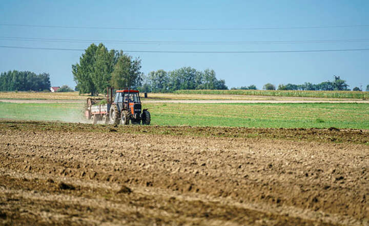 Nawet 100 tys. zł dla hodowców świń. Zostały ostatnie dni na wniosek / autor: Fratria