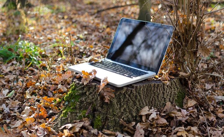 laptop / autor: pixabay