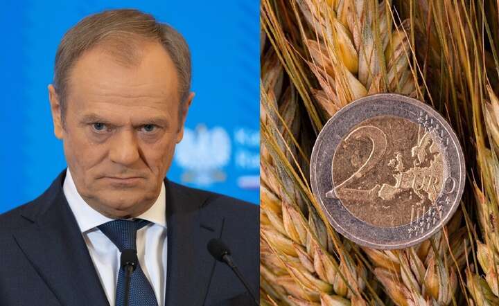 Rząd premiera Donalda Tuska szykuje „rzeź” małych gospodarstw rolnych / autor: Fratria / Andrzej Wiktor / Pixabay