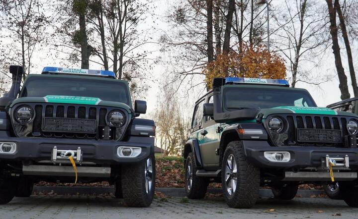 Jeep Wrangler Sahara / autor: Materiały prasowe