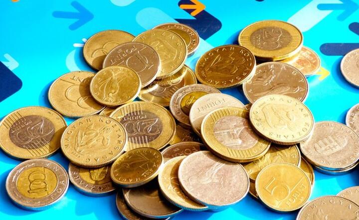 forint / autor: pixabay