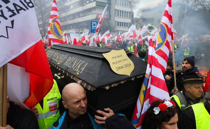 Demonstracja rolników w Warszawie / autor: Fot. PAP/Paweł Supernak 