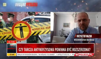 Potrzeba bardziej rozwiązań systemowych niż sektorowych